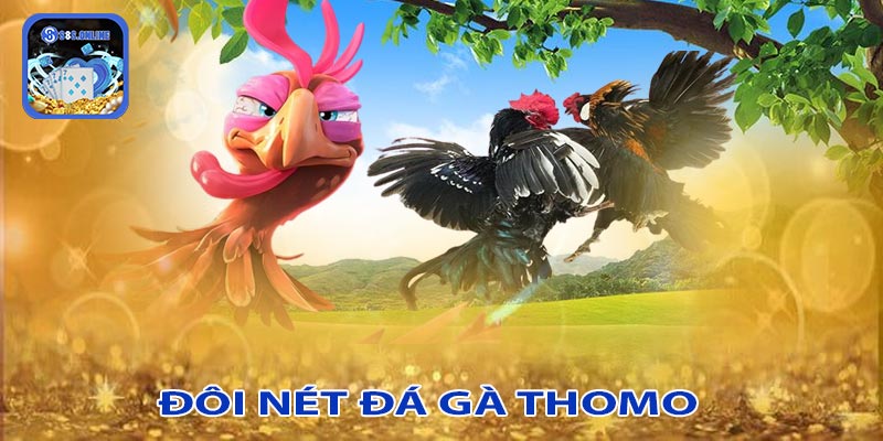 Giới thiệu về đá gà thomo