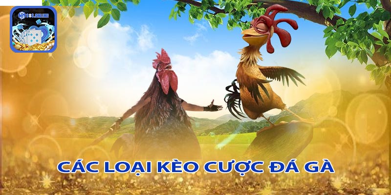 Các loại kèo cược có trong đá gà thomo